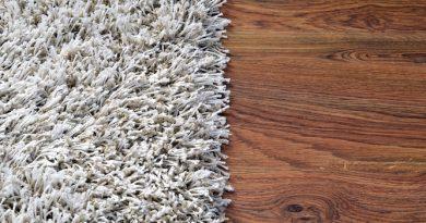 carpet and hardwood close up