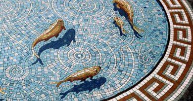 amazing coy carp mosaic design