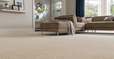 Buy the Best Carpet: Best Options and Best Brands 2022