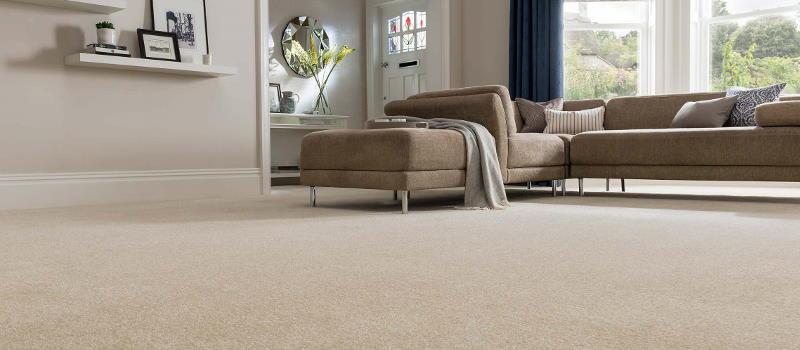 Buy the Best Carpet: Best Options and Best Brands 2022