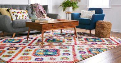 transitional living room with colorful rug
