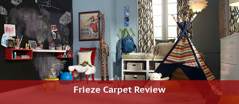 Frieze Carpet What Is It The Benefits The Best Frieze Carpet Reviewed,Chocolate Cups To Grams