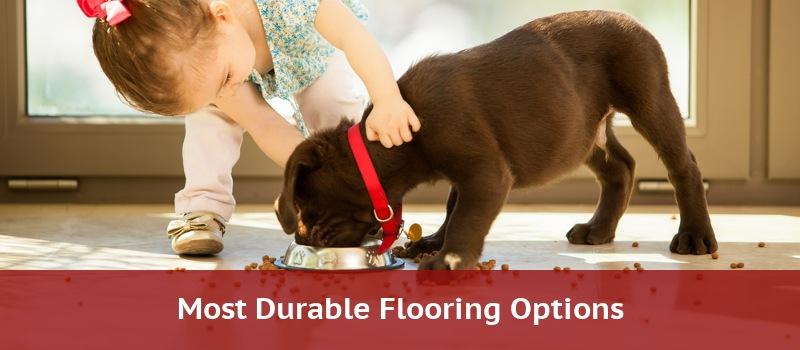 Most Durable Flooring Long Lasting, What Is The Most Durable Flooring For Dogs