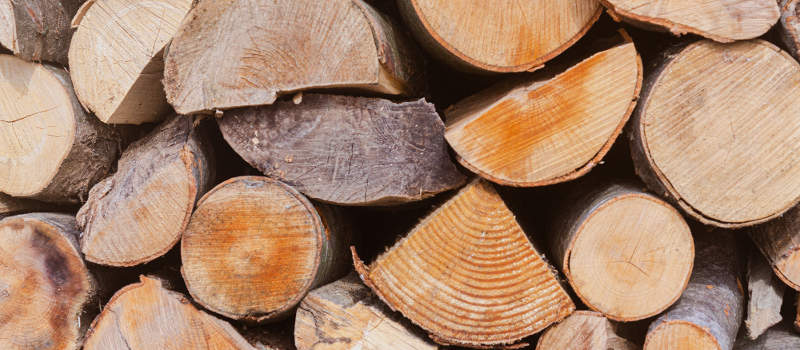 Assorted logs of wood species
