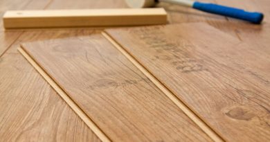 hardwood floor sander
