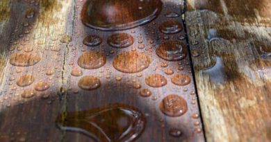 Water droplets pooled on damaged hardwood